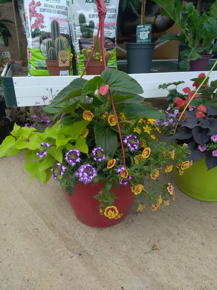 Vente de fleur à Barges