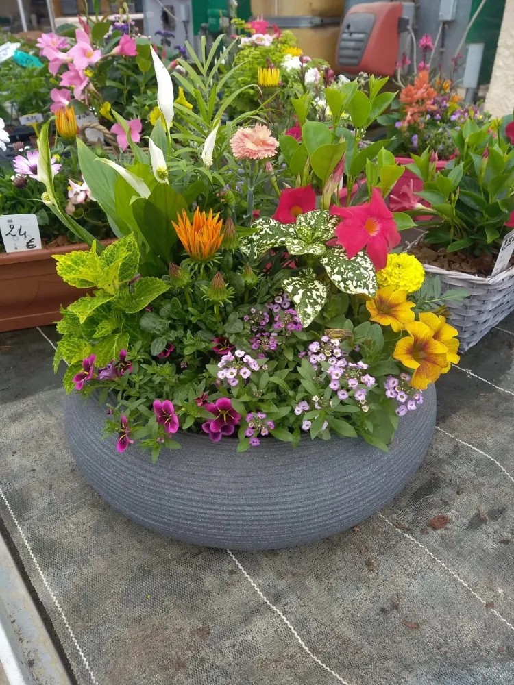 horticulture conseils jardin bourgogne